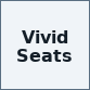 Vivid Seats odhalil nákup domény za 17,3 mil. USD. Účetní položka, která mluví
